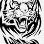 Тигр Черно Белый Рисунок
