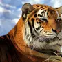 Картинка на заставку тигр