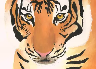 Рисунок тигра карандашом для срисовки легкие
