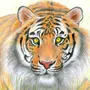 Рисунок тигра карандашом для срисовки легкие