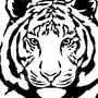 Тигр Векторный Рисунок