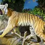 Саблезубый тигр