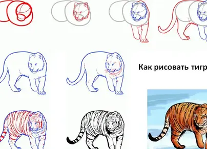 Рисунки тигра для срисовки легкие