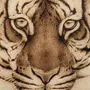 Рисунок для выжигания тигр