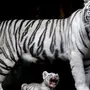 Бенгальские тигры для закладки