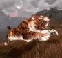 Саблезубый Тигр В Реальной Жизни