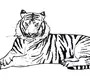 Тигр простой рисунок