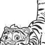 Тигр и лео картинки на белом фоне