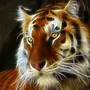 Картинки На Телефон На Заставку Тигры