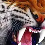 Злой Тигр