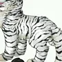 Белый Тигр Рисунок