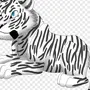 Белый тигр рисунок