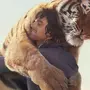 Тигры обнимаются картинки