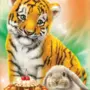 Тигр С Днем Рождения Картинка