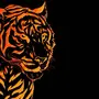 Тигр на черном фоне картинки