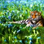 Тигр В Цветах Картинки