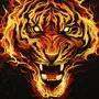 Картинки Огненный Тигр