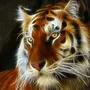 Картинки На Рабочий Стол Тигр