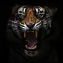 Картинка Тигр Рычит