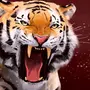 Картинка тигр рычит