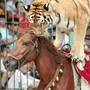 Картинка тигр и лошадь