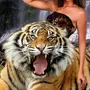 Картинка девушка с тигром