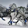 Тройка Лошадей Зимой
