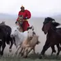 Монгольская лошадь