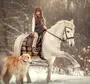 Лошадь зимой