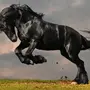 Мустанг Лошадь