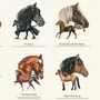 Породы Лошадей С Картинками
