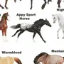 Породы Лошадей С Картинками