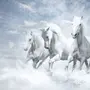 Три Белых Коня
