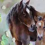 Лошадь в поле рисунок