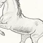 Лошадь рисунок 5 класс