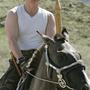 Путин на лошади в хорошем качестве