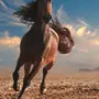 Лошадь В Движении