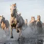 Бегущая лошадь