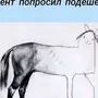 Мем с рисунком лошади