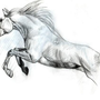 Лошадь В Движении Рисунок
