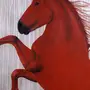 Долговязая лошадь
