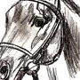 Голова лошади рисунок для детей