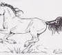 Картинка лошадка скачет лошадка бежит для детей