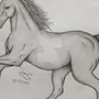 Картинки Для Срисовки Легкие Для Детей Лошадь