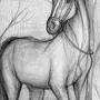 Картинки для срисовки легкие для детей лошадь