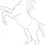 Картинки Для Срисовки Легкие Для Детей Лошадь