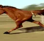 Тыгыдымский Конь