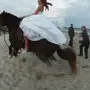Тыгыдымский конь