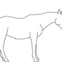 Стоящая лошадь рисунок