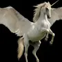 Пегас Лошадь